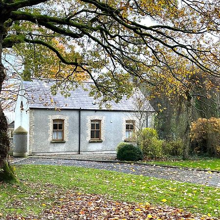 Country Garden House Holiday Homes Ballymoney Luaran gambar