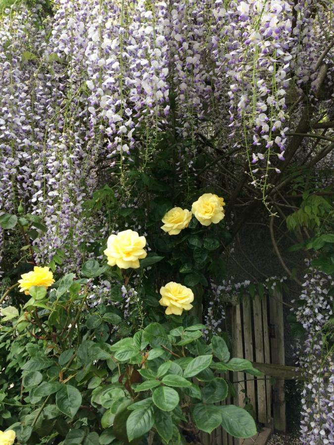 Country Garden House Holiday Homes Ballymoney Luaran gambar
